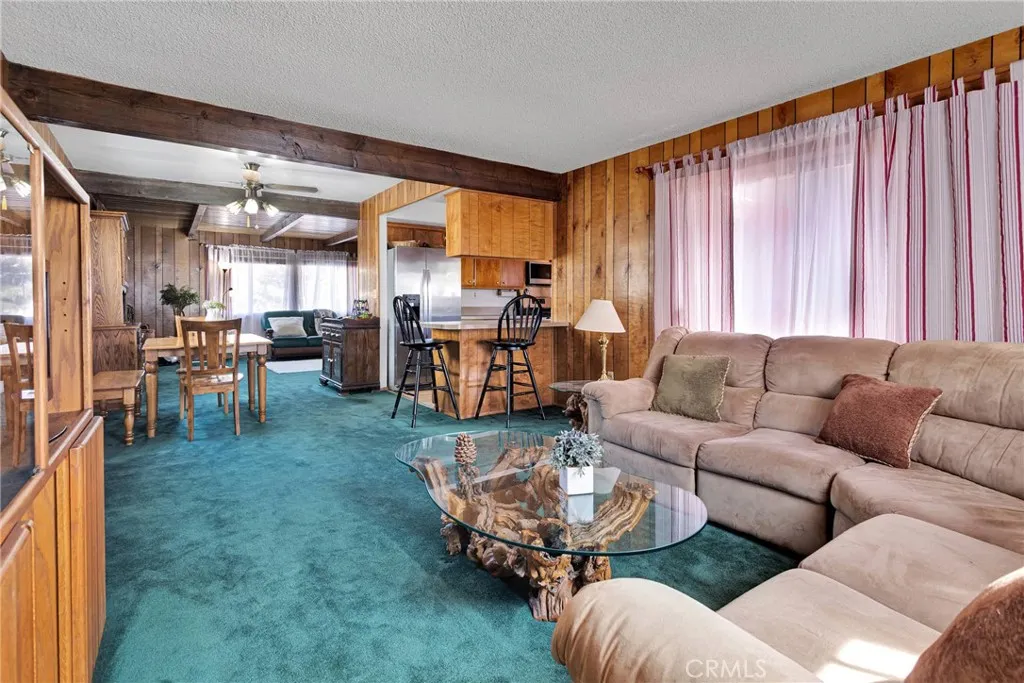 2329 E Canyon Drive, Wrightwood, California 92397 home-pic-8