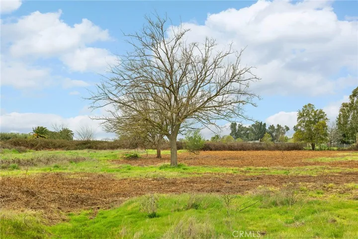0 County Road 20, Orland, California 95963