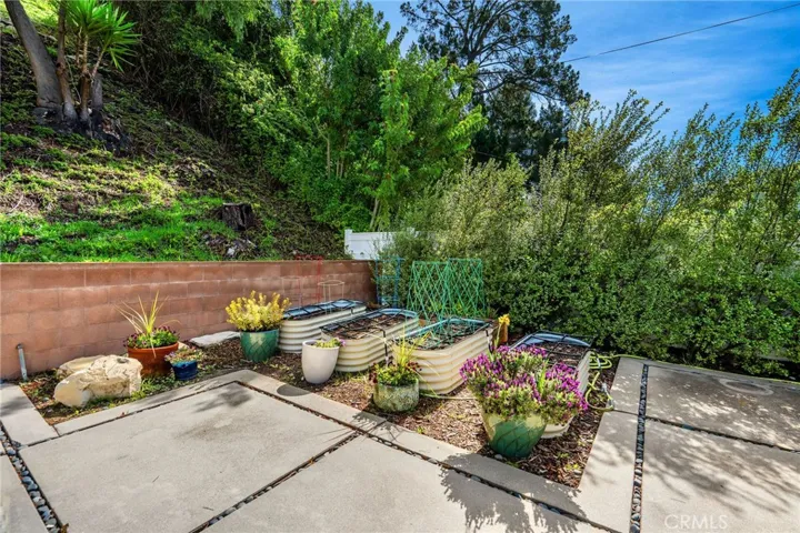 Vegetable and herb garden.