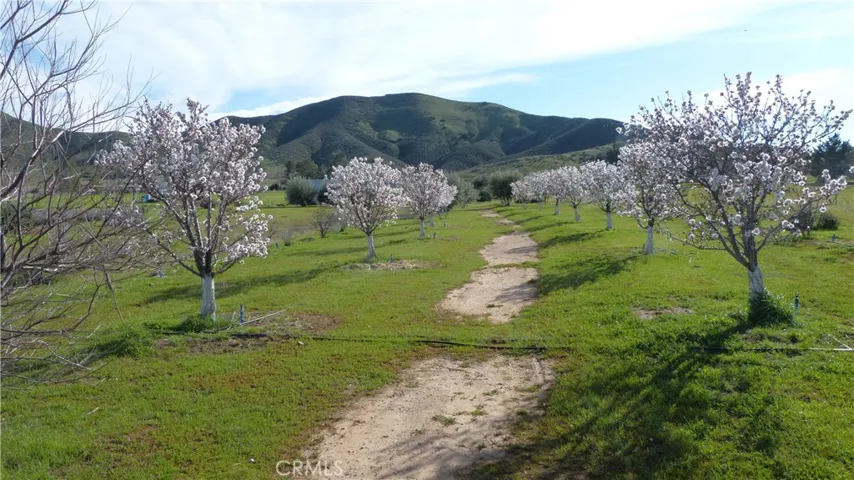 Spring time - photo from several years ago