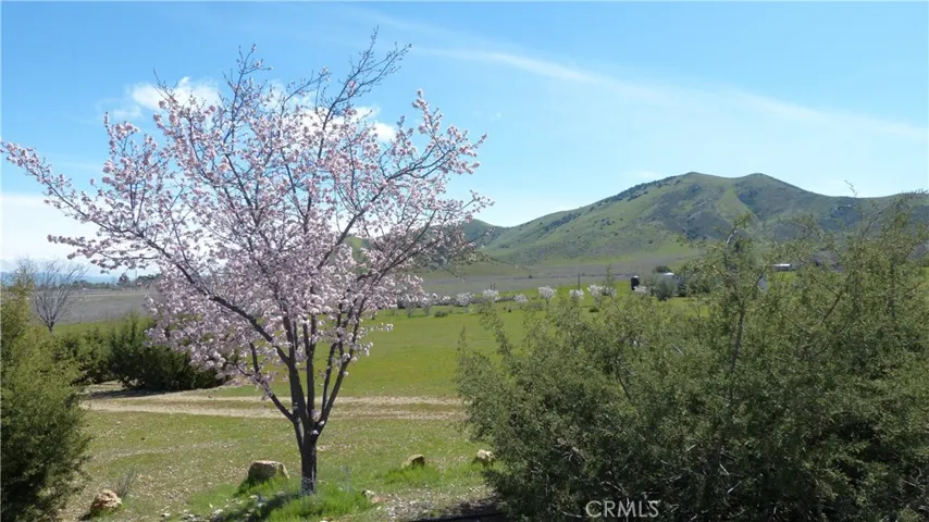 Spring time - photo from several years ago