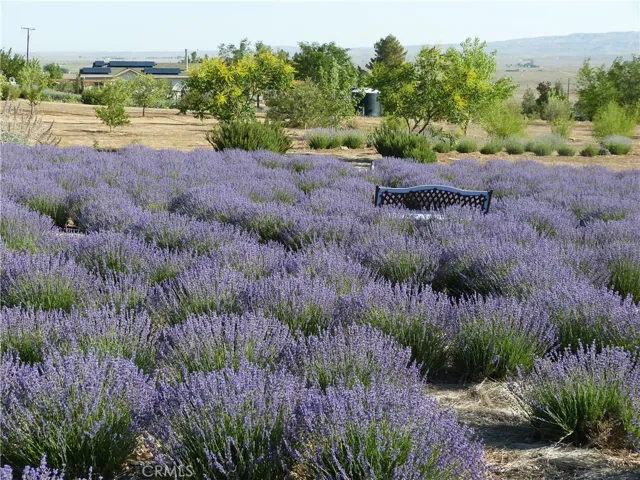 Spring time - photo from several years ago