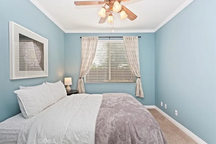 Bedroom Downstairs