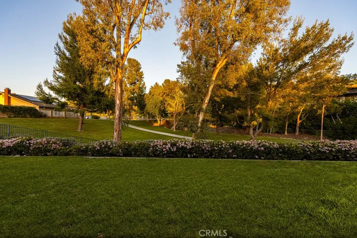 backyard view