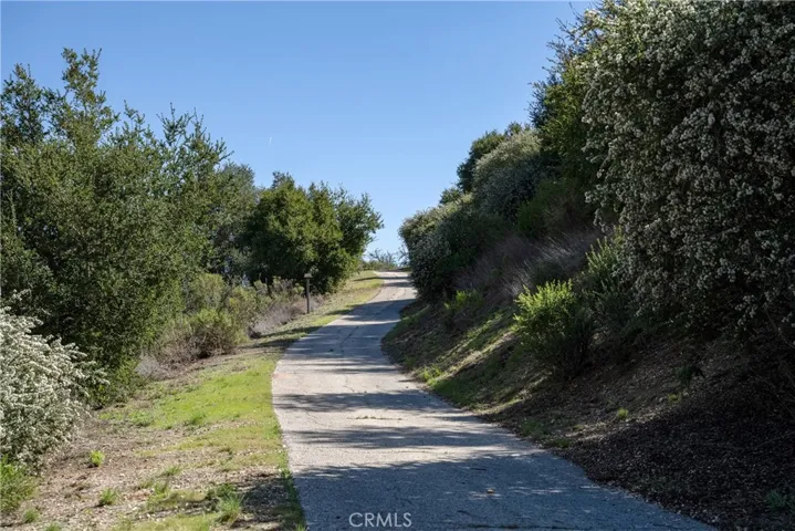 Driveway~