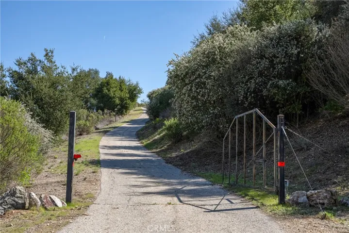 Driveway~