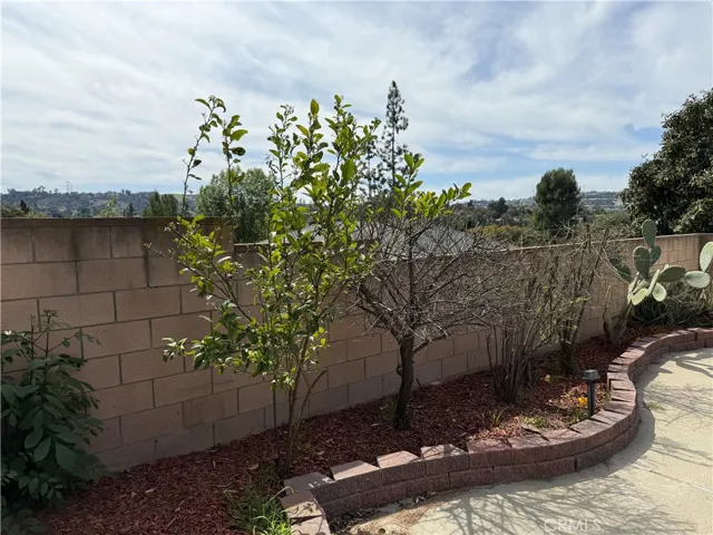 Lemon Tree