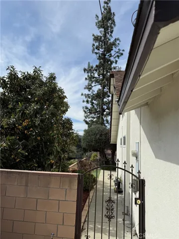 Side gate & Fruit tree