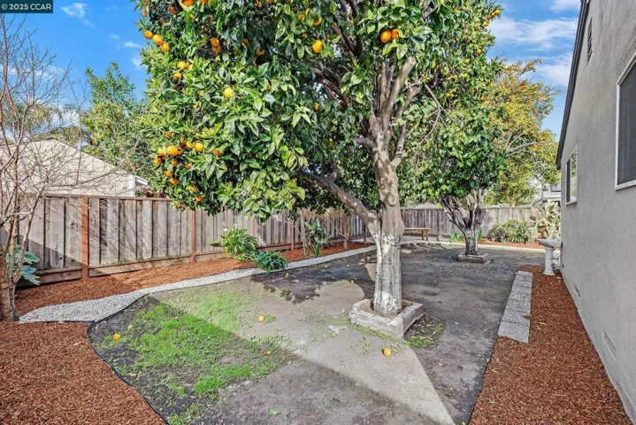 23335 Reed Way, Hayward, California 94541