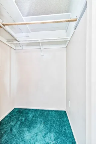 Large closet in second bedroom