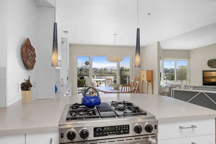 575 Forrest Bluff, Encinitas, California 92024