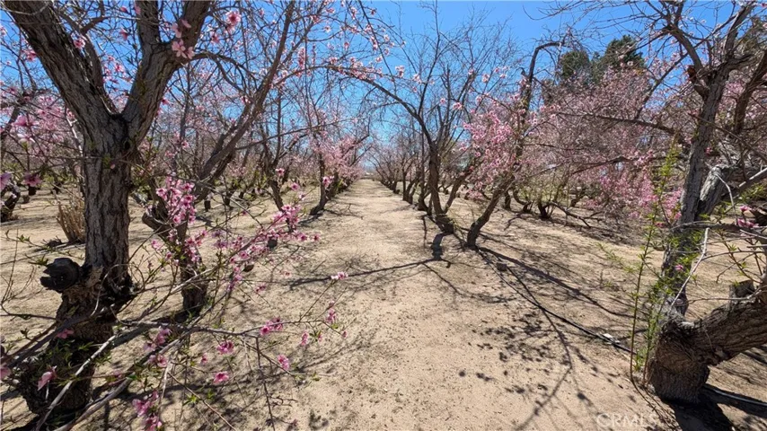 18510 Seneca Road, Apple Valley, California 92307