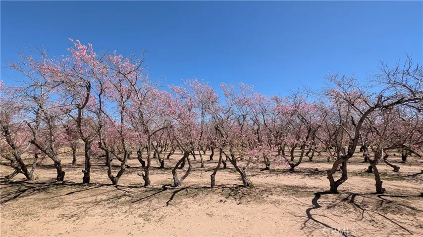 18510 Seneca Road, Apple Valley, California 92307