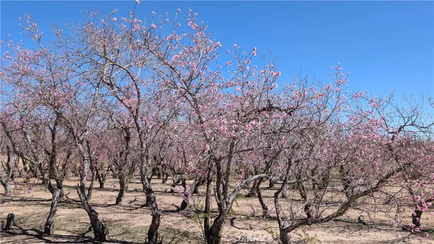 18510 Seneca Road, Apple Valley, California 92307