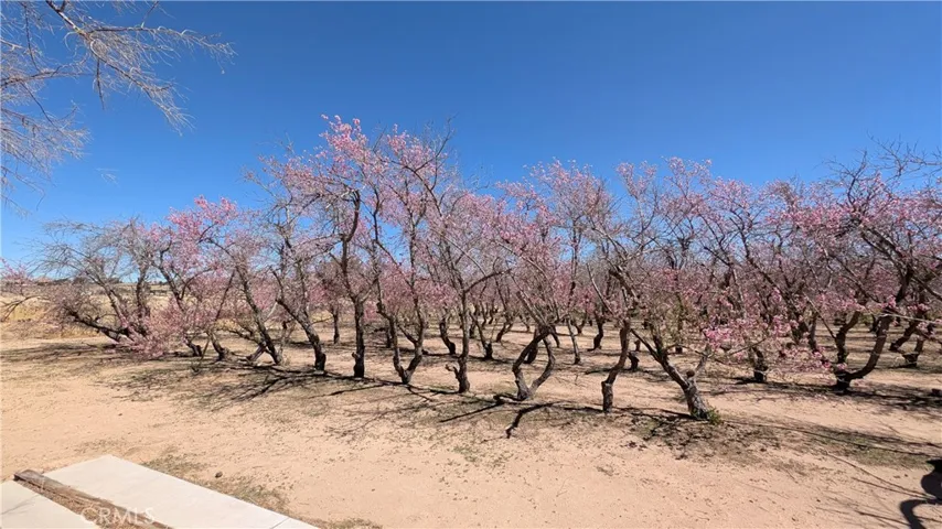 18510 Seneca Road, Apple Valley, California 92307