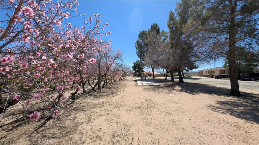 18510 Seneca Road, Apple Valley, California 92307