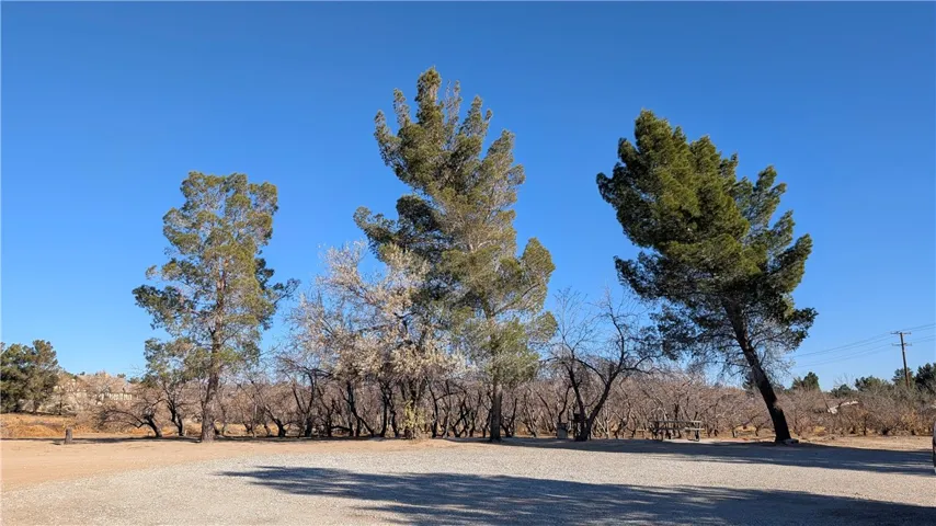 18510 Seneca Road, Apple Valley, California 92307