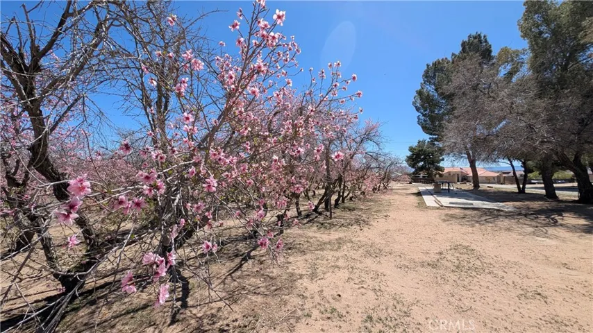 18510 Seneca Road, Apple Valley, California 92307