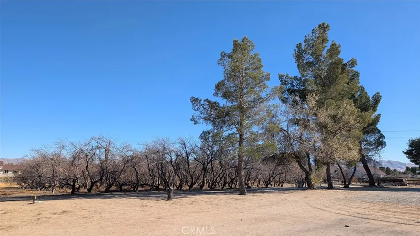 18510 Seneca Road, Apple Valley, California 92307