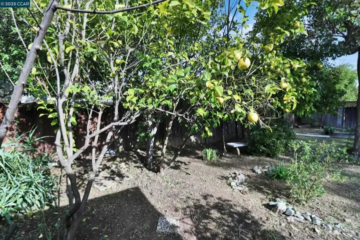 1733 Elmhurst Ln, Concord, California 94521