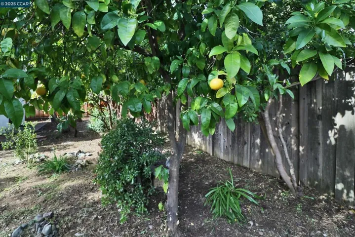 1733 Elmhurst Ln, Concord, California 94521