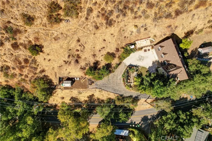 Those are deer trails you see in the photo. It's not uncommon to see deer traveling up and down canyon.