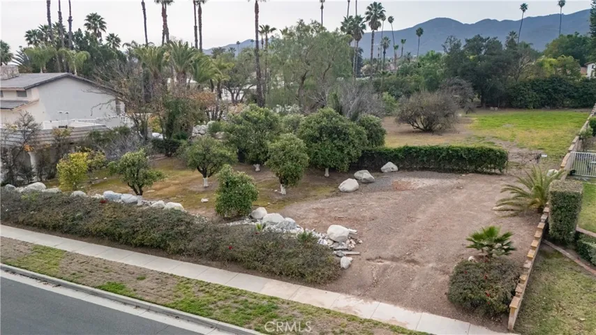 Current Unaltered picture of 2nd lot