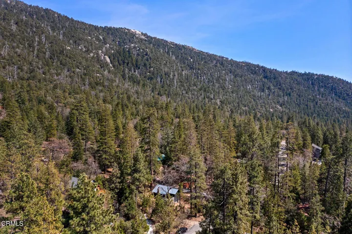041_DJI_0012_Web