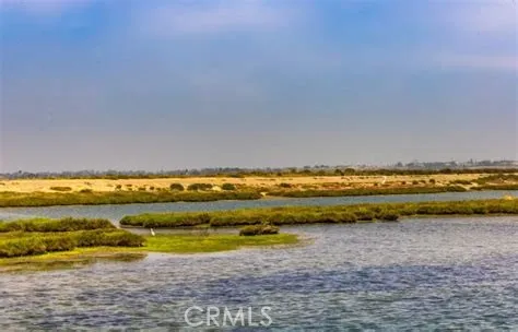Enjoy Scenic Walks