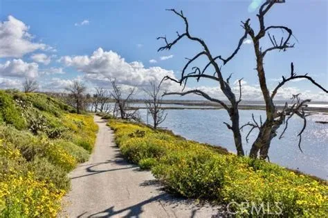 Wetland Boarwal trails just minutes from home
