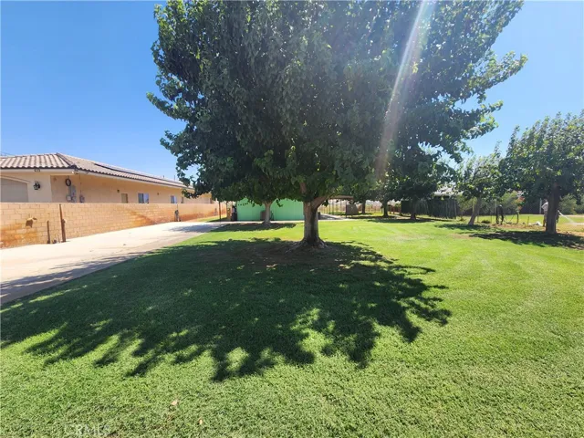 Main house - back yard, driveway, RV parking