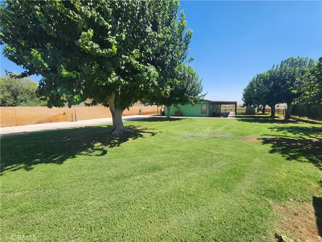 Main house -back yard