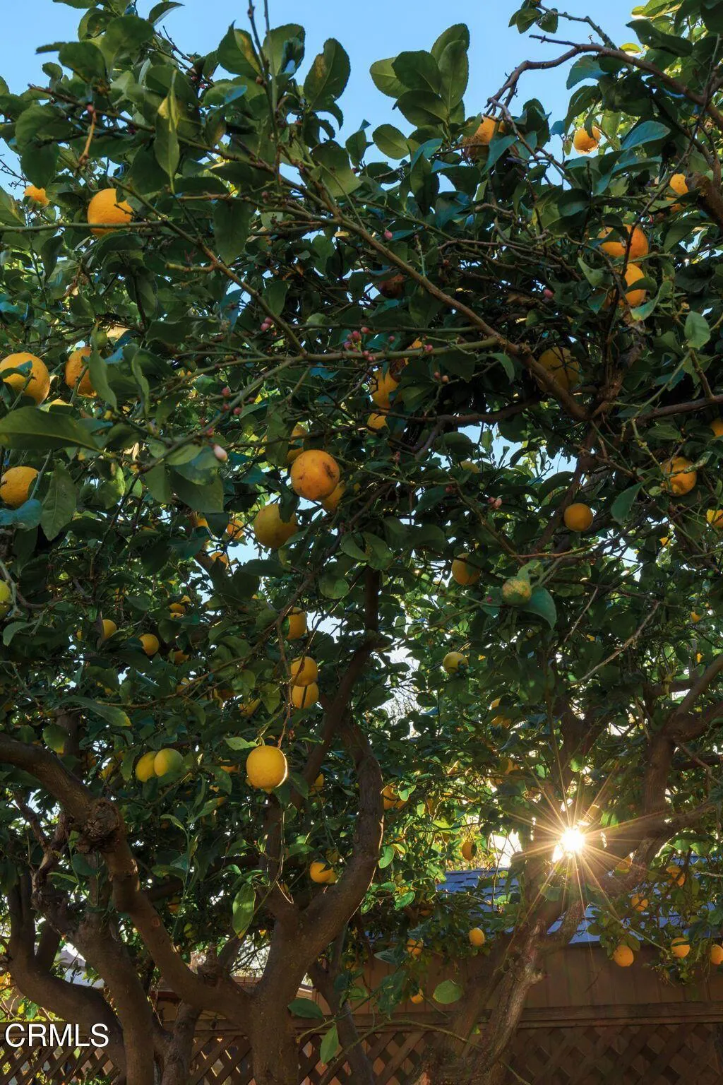 1755 Morada Place, Altadena, California 91001 home-pic-30