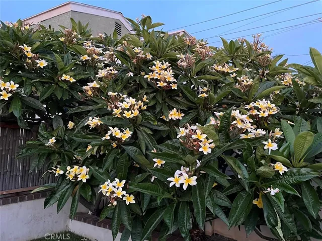 34601 Calle Portola, Dana Point, California 92624