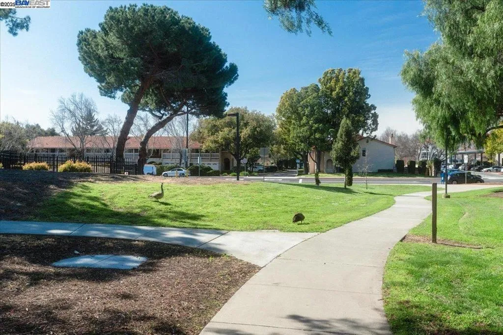 34701 Alvarado Niles Rd 2, Union City, California 94587 home-pic-34