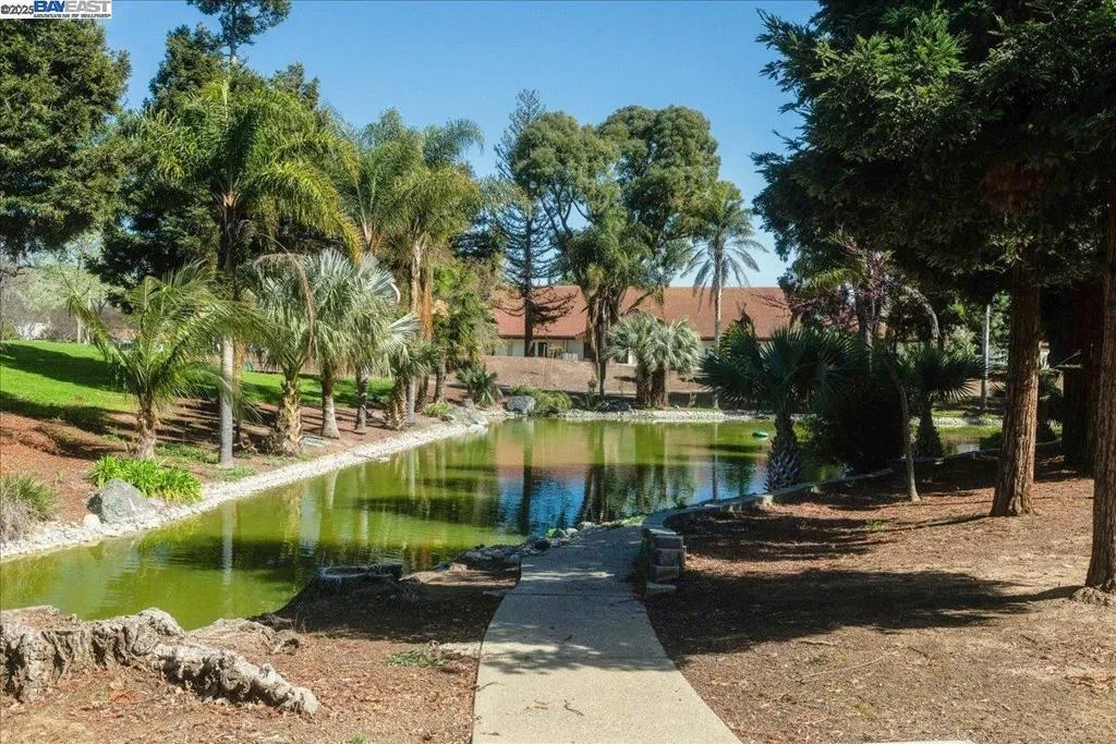 34701 Alvarado Niles Rd 2, Union City, California 94587 home-pic-35