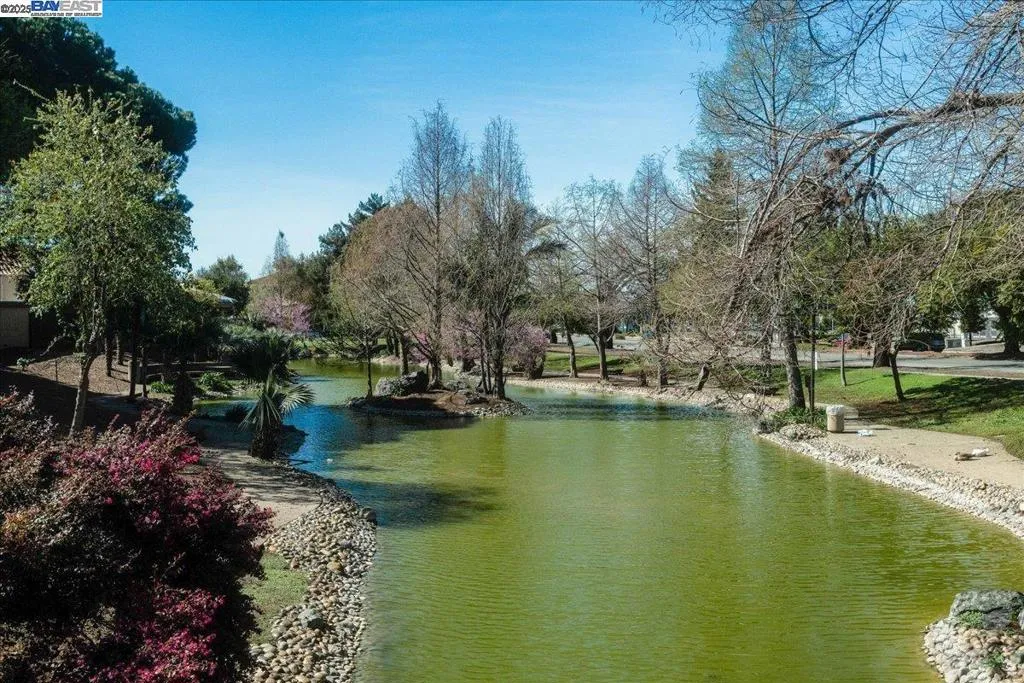 34701 Alvarado Niles Rd 2, Union City, California 94587 home-pic-36