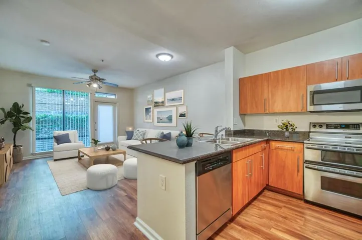 1060 S 3rd Street 181, San Jose, California 95112