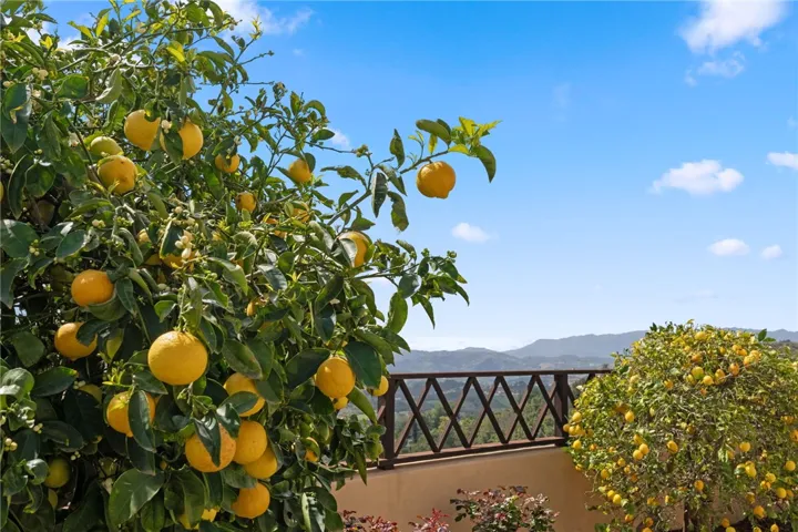 45250 Tomasito Circle, Temecula, California 92590