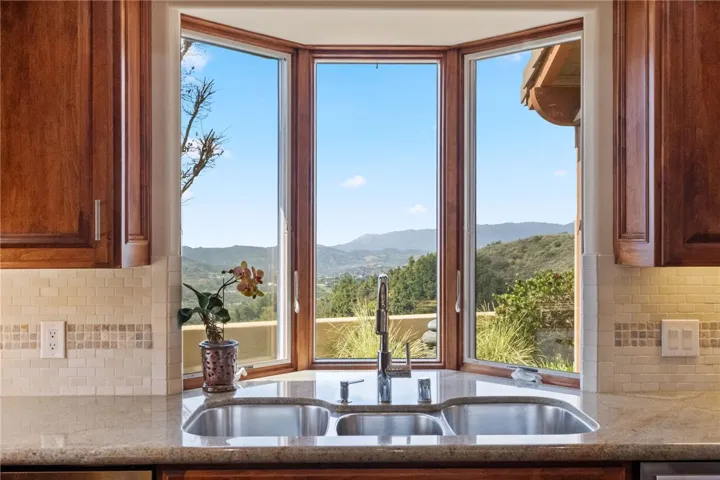 Views from the Kitchen sink