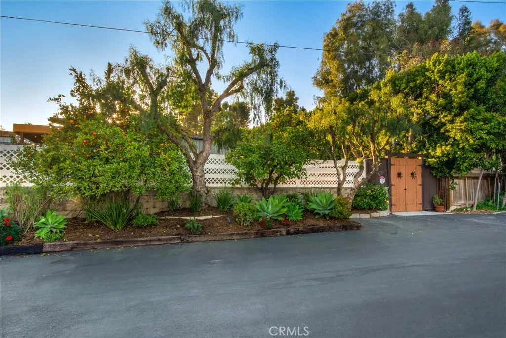 29546 Spotted Bull Lane, San Juan Capistrano, California 92675 home-pic-50