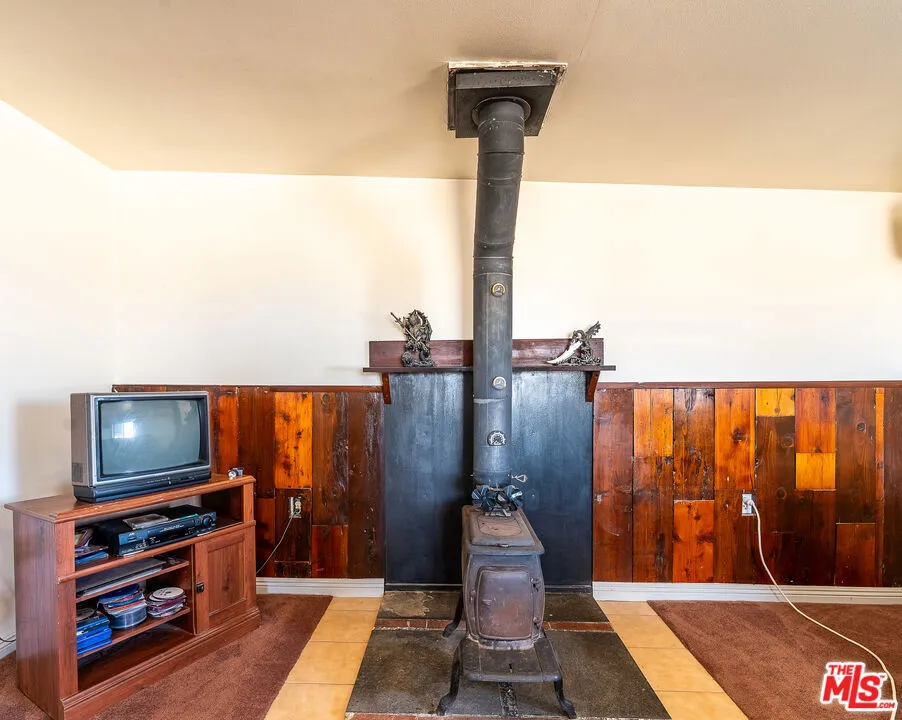 52020 Joshua Tree Road, Johnson Valley, California 92285 home-pic-17