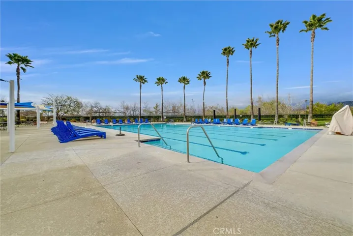 Community lap pool
