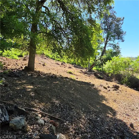 Bottom lot