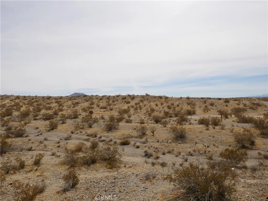 15026 Swan Lane, Oro Grande, California 92368 home-pic-4