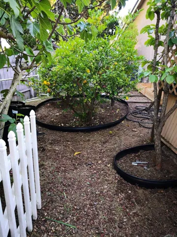 200 Calle Isabel, San Marcos, California 92069