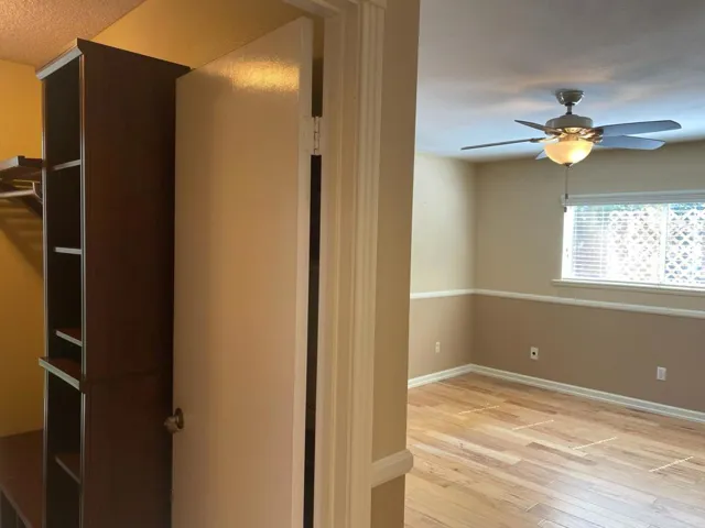 Fresh Neutral Paint