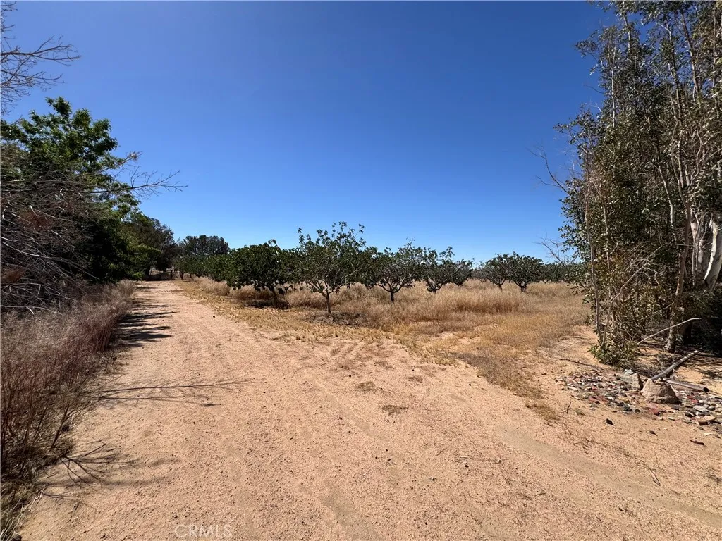 35648 Mountain View Road, Hinkley, California 92347 home-pic-43
