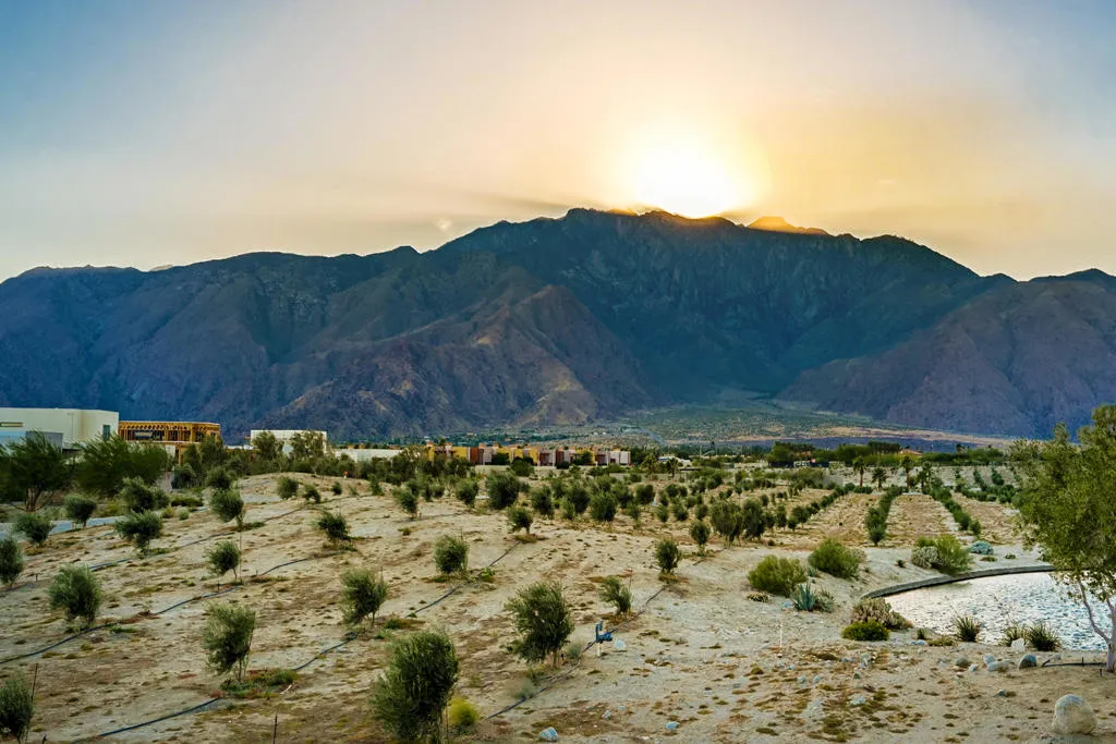 743 Fountain Drive, Palm Springs, California 92262 home-pic-44