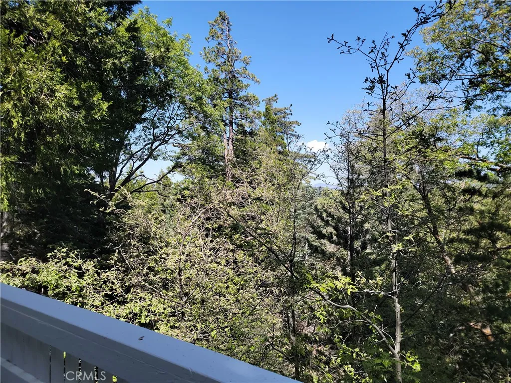 491 Violet Drive, Twin Peaks, California 92391 home-pic-29